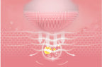 a4a978a9febc138f3345c590dfe6ab3d